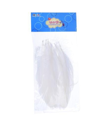 נוצות לבנות גדולות 1/30