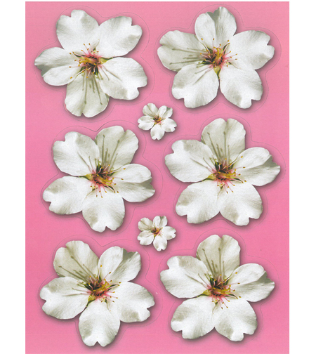 גזירות קרטון פרחי שקדיה להדבקה והמחשה 8 ס