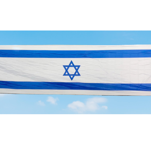 דגל משי 110/500