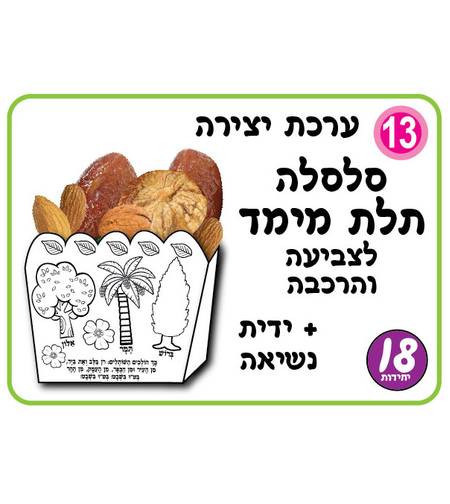 סלסלה חגיגית לצביעה והרכבה + ידית 1/18