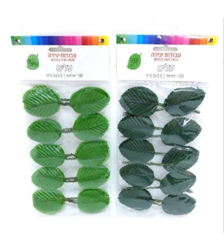 עלים ירוקים 5 ס
