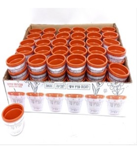 העציץ של פלסטיק