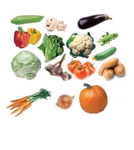 גזירות גדולות להמחשה - ירקות  18 יח' GL