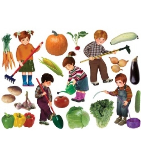 כרזה ממפל ט