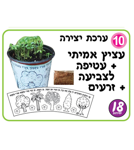 ערכת יצירה עציץ+עטיפה לצביעה +זרעים 1/18