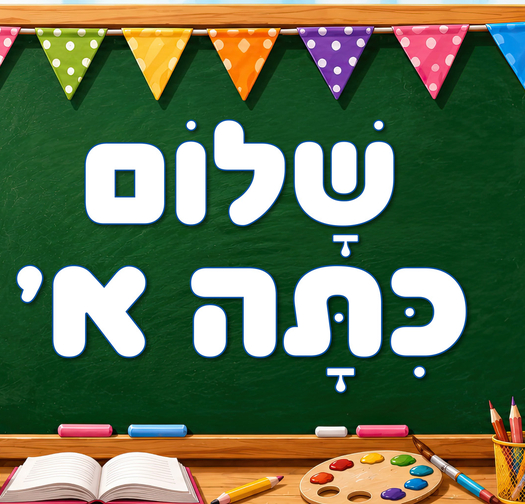 שמשונית גודל 60*160