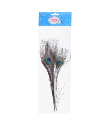 זוג נוצות טווס