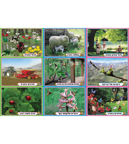 ערכת תמונות אביב