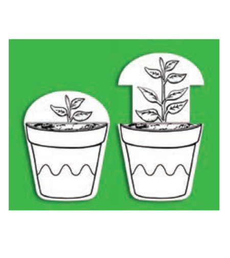 יצירה שתיל נשלף 1/36