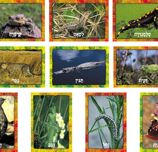 ערכת תמונות תחפושות בטבע