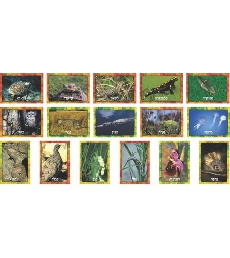 ערכת תחפושות בטבע GL