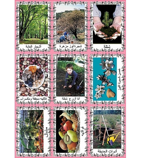 ערכת תמונות ט