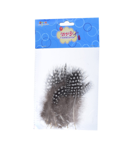 נוצות קטנות  שחורות עם נקודות לבנות 1/12