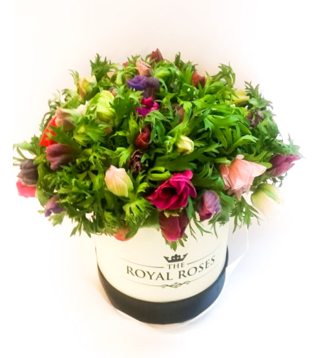 Anemones Arrangement in a Box