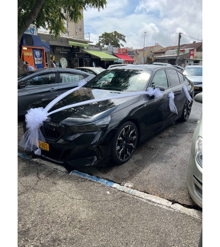 קישוט רכב אלגנטי