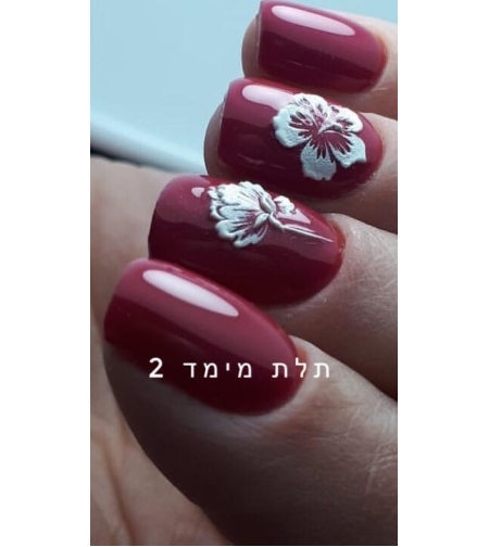 פרחים לבנים 3D