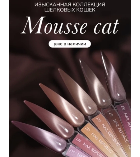 Mousse cat