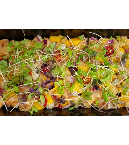 סוויצ'ה סלמון