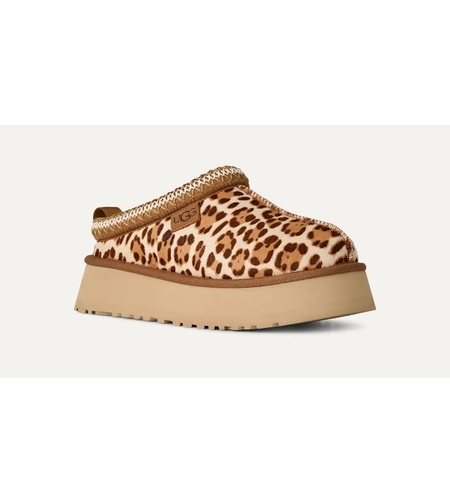 טאז פליין מנומר