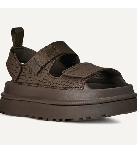 UGG גולדנגלואו אמבוס