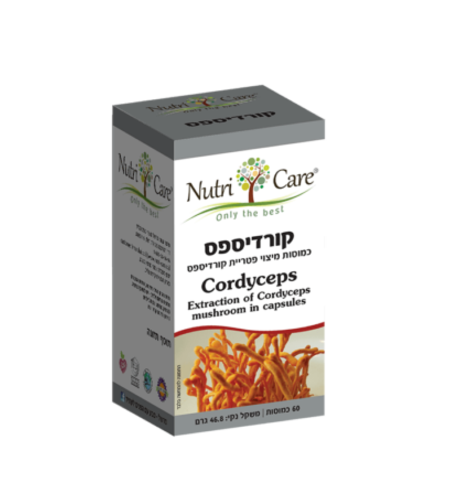 קורדיספס