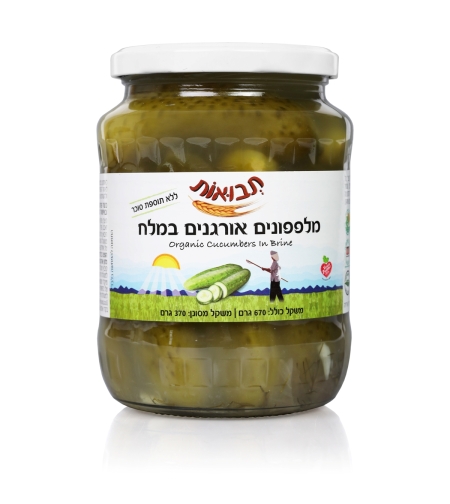 מלפפונים אורגניים במלח
