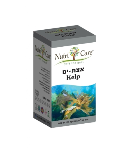 אצות ים
