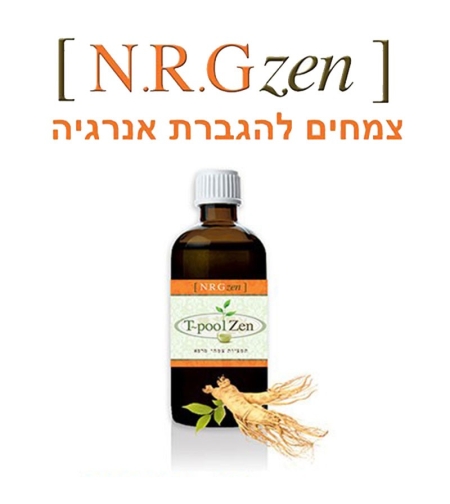 N.R.G Zen 100ml