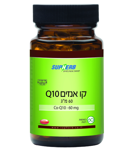 קיו 10 60 מ