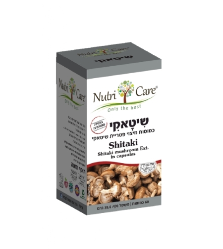 שיטאקי