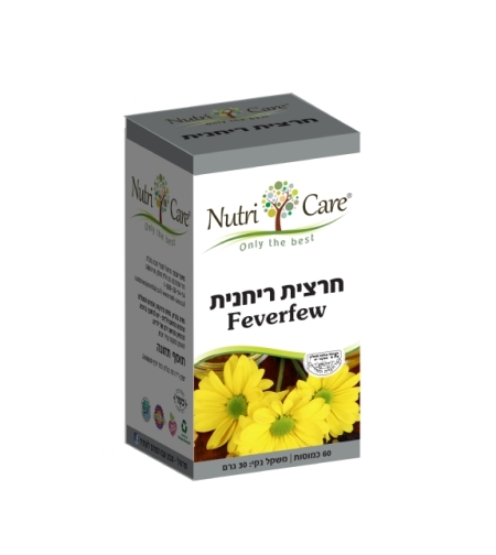 חרצית ריחנית