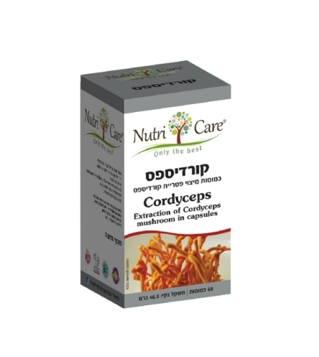 קורדיספס