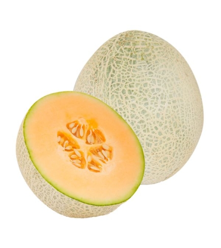 מלון (יחידה)
