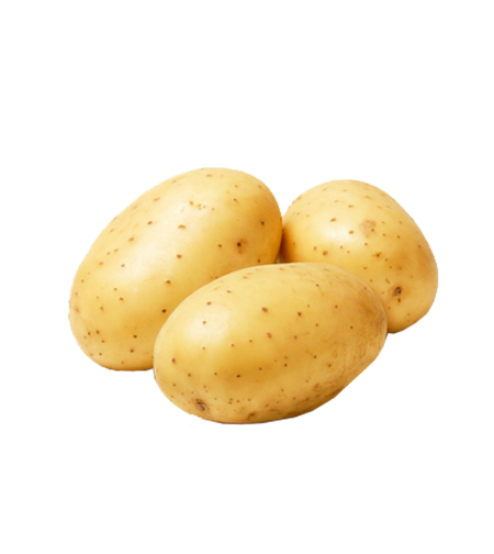 תפו'א לבן (תפזורת)