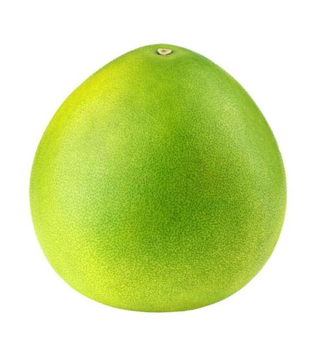 פומלה (קייג)