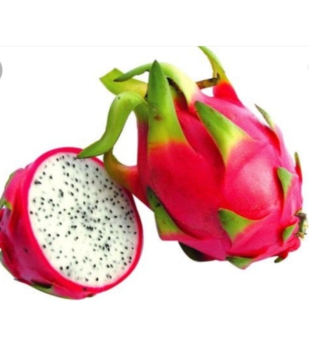 פיטאיה איכותית (ק''ג)