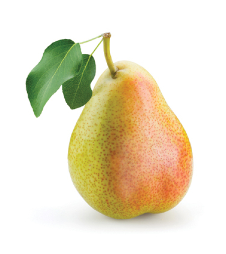 אגס מובחר (קייג)