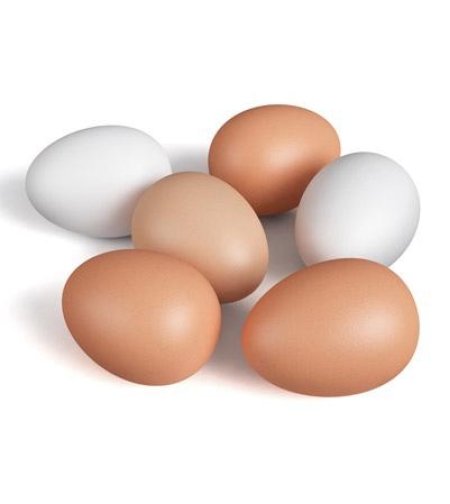 12 ביצים אורגניות (M)