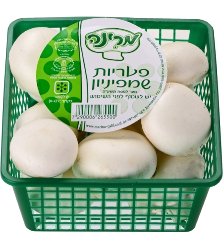 פטריות שמפניון (מארז)