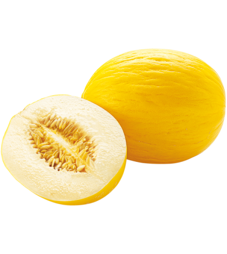 מלון כתום (יחידה)