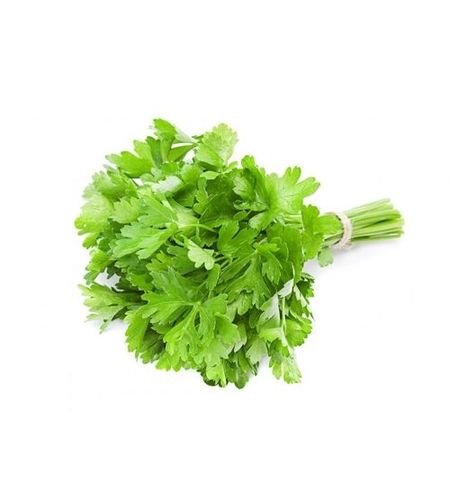 כוסברה - צרור