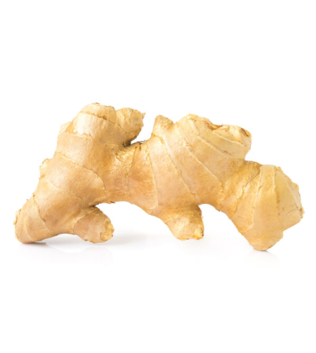 ג'ינגר - יחידה