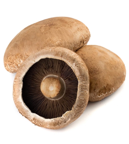 פטריות פורטבלו