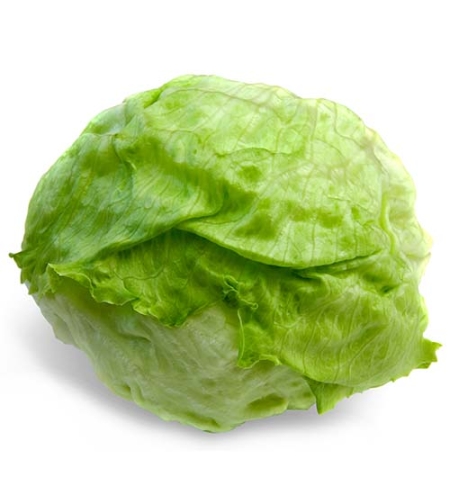 חסה אייסברג