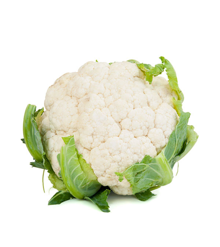 כרובית - יחידה גדול