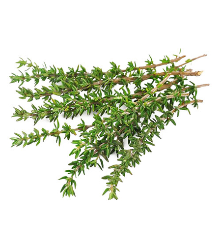 טימין - מארז