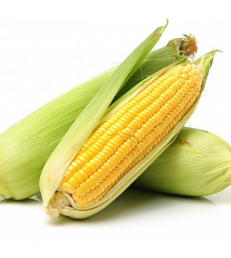 תירס - מארז (5 יח')