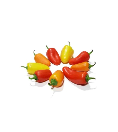 פלפל טינקרבל - ארז