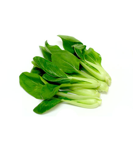 תרד ניו זילנדי