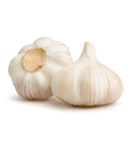 שום טרי - מארז